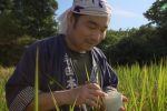 shoyu1