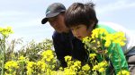 宝谷カブ生産者